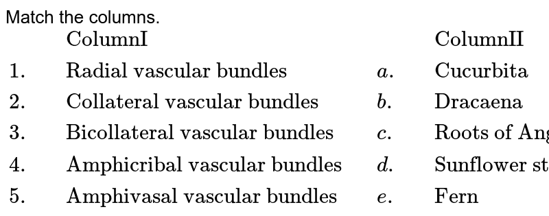 Match the columns. {:(,,"ColumnI",,,,"ColumnII"),(1.,,"Radial vascular bundles",,a.,,"Cucurbita"),(2.,,"Collateral vascular bundles",,b.,,"Dracaena"),(3.,,"Bicollateral vascular bundles",,c.,,"Roots of Angiosperms"),(4.,,"Amphicribal vascular bundles",,d.,,"Sunflower stem"),(5.,,"Amphivasal vascular bundles",,e.,,"Fern"):}