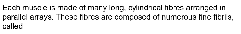 Each muscle is made of many long, cylindrical fibres arranged in parallel arrays. These fibres are composed of numerous fine fibrils, called