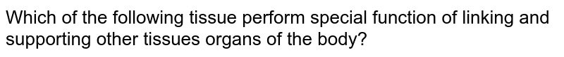 Which of the following tissue perform special function of linking and supporting other tissues organs of the body?