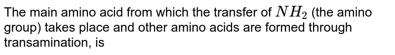 The main amino acid from which the transfer of NH_2 (the amino group) takes place and other amino acids are formed through transamination, is