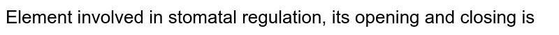 Element involved in stomatal regulation, its opening and closing is