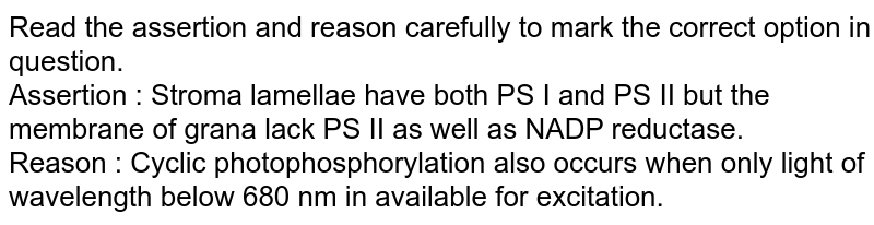Read the assertion and reason carefully to mark the correct option in question. Assertion : Stroma lamellae have both PS I and PS II but the membrane of grana lack PS II as well as NADP reductase. Reason : Cyclic photophosphorylation also occurs when only light of wavelength below 680 nm in available for excitation.