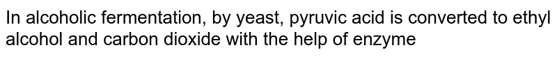 In alcoholic fermentation, by yeast, pyruvic acid is converted to ethyl alcohol and carbon dioxide with the help of enzyme