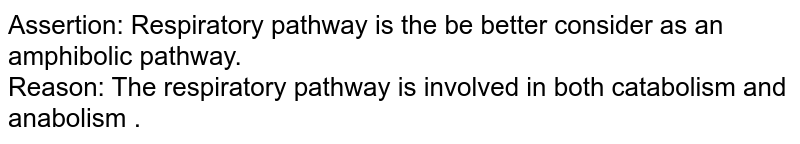 Assertion: Respiratory pathway is the be better consider as an amphibolic pathway. Reason: The respiratory pathway is involved in both catabolism and anabolism .