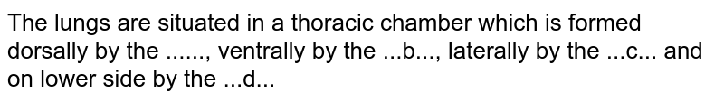 The lungs are situated in a thoracic chamber which is formed dorsally by the ......, ventrally by the ...b..., laterally by the ...c... and on lower side by the ...d...