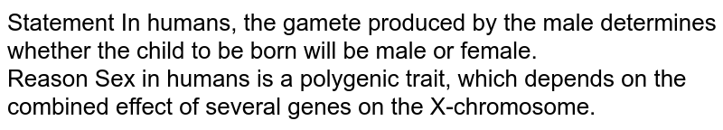 Statement In humans, the gamete produced by the male determines whether the child to be born will be male or female. Reason Sex in humans is a polygenic trait, which depends on the combined effect of several genes on the X-chromosome.