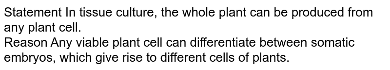 Statement In tissue culture, the whole plant can be produced from any plant cell. Reason Any viable plant cell can differentiate between somatic embryos, which give rise to different cells of plants.