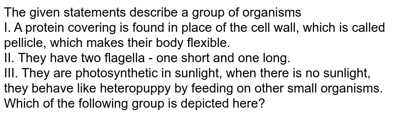 The given statements describe a group of organisms I. A protein covering is found in place of the cell wall, which is called pellicle, which makes their body flexible. II. They have two flagella - one short and one long. III. They are photosynthetic in sunlight, when there is no sunlight, they behave like heteropuppy by feeding on other small organisms. Which of the following groups is depicted here?