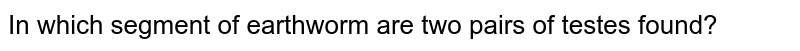 In which segment of earthworm are two pairs of testes found?