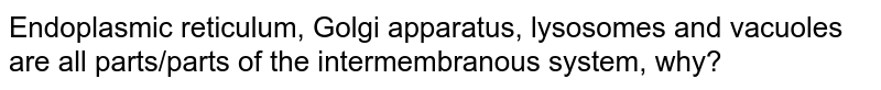 Endoplasmic reticulum, Golgi apparatus, lysosomes and vacuoles are all parts/parts of the intermembranous system, why?