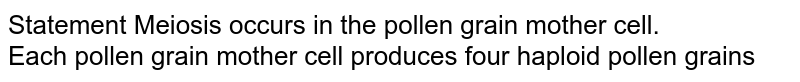Statement Meiosis occurs in the pollen grain mother cell. Each pollen grain mother cell produces four haploid pollen grains