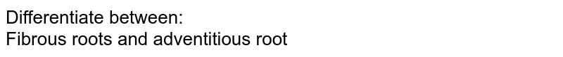 Differentiate between: Fibrous roots and adventitious root