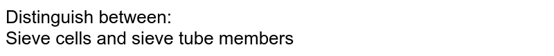 Distinguish between: Sieve cells and sieve tube members