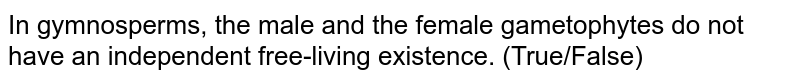In gymnosperms, the male and the female gametophytes do not have an independent free-living existence. (True/False)