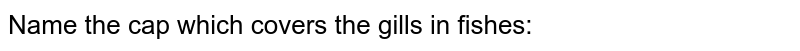 Name the cap which covers the gills in fishes: