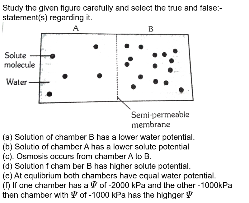 F0 Base Of Oxysome Is Towards A Outer Chamber B Matrix C Inner C