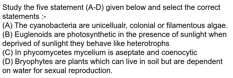 Study the five statement (A-D) given below and select the correct statements :- (A) The cyanobacteria are unicellualr, colonial or filamentous algae. (B) Euglenoids are photosynthetic in the presence of sunlight when deprived of sunlight they behave like heterotrophs (C) In phycomycetes mycelium is aseptate and coenocytic (D) Bryophytes are plants which can live in soil but are dependent on water for sexual reproduction.