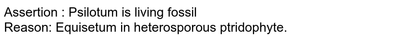 Assertion : Psilotum is living fossil Reason: Equisetum in heterosporous ptridophyte.