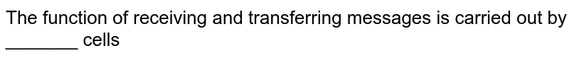 The function of receiving and transferring messages is carried out by _______ cells