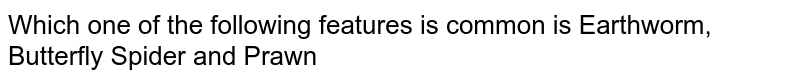 Which one of the following features is common is Earthworm, Butterfly Spider and Prawn