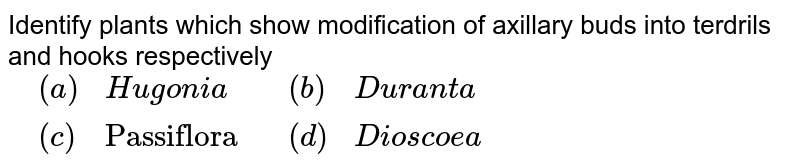 Identify plants which show modification of axillary buds into tendrils and hooks respectively {:(,(a),Hugonia,,(b),Duranta),(,(c),"Passiflora",,(d),Dioscorea ):}
