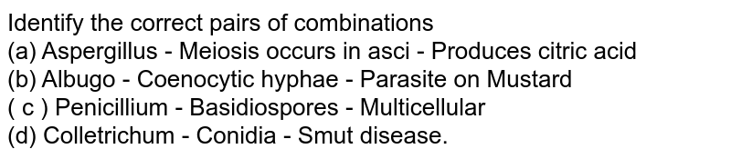 Identify the correct pairs of combinations (a) Aspergillus - Meiosis occurs in asci - Produces citric acid (b) Albugo - Coenocytic hyphae - Parasite on Mustard ( c ) Penicillium - Basidiospores - Multicellular (d) Colletrichum - Conidia - Smut disease.