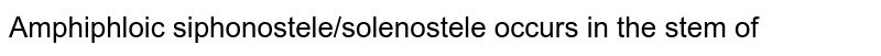 Amphiphloic siphonostele/solenostele occurs in the stem of