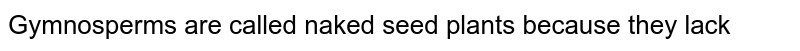 Gymnosperms are called naked seed plants because they lack