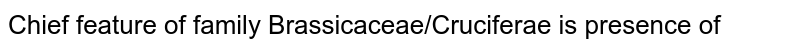 Chief feature of family Brassicaceae/Cruciferae is presence of