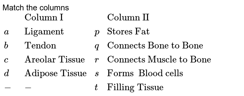 Match the columns {:(,"Column I " ,, "Column II"), (a, "Ligament" , p , "Stores Fat"), (b , "Tendon" ,q , "Connects Bone to Bone"), (c , "Areolar Tissue" , r, "Connects Muscle to Bone"), ( d , "Adipose Tissue" , s, "Forms Blood cells"), ( - , - , t, "Filling Tissue"):}