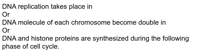 DNA replication takes place in <br> Or <br> DNA molecule of each chromosome become double in <br> Or <br> DNA and histone proteins are synthesized during the following phase of cell cycle. 