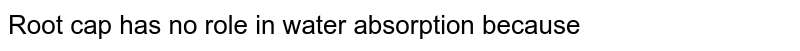 Root cap has no role in water absorption because