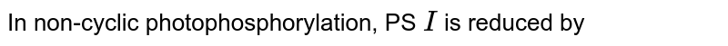 In non-cyclic photophosphorylation, PS I is reduced by