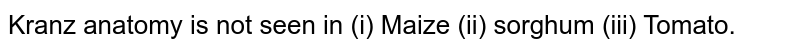 Kranz anatomy is not seen in (i) Maize (ii) sorghum (iii) Tomato.