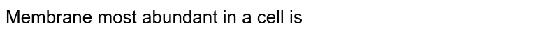 Membrane most abundant in a cell is