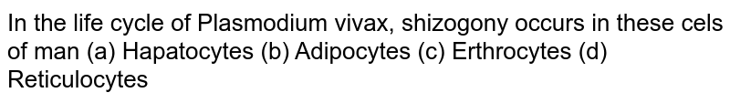 In the life cycle of Plasmodium vivax, schizogony occurs in these cells of man (a) Hepatocytes (b) Adipocytes (c) Erythrocytes (d) Reticulocytes