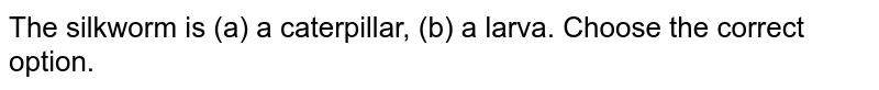 The silkworm is (a) a caterpillar, (b) a larva. Choose the correct option.