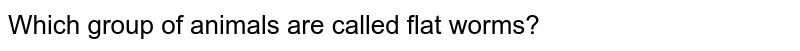 Which group of animals are called flat worms?