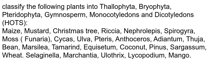 classify the following plants into Thallophyta, Bryophyta, Pteridophyta, Gymnosperm, Monocotyledons and Dicotyledons (HOTS): Maize, Mustard, Christmas tree, Riccia, Nephrolepis, Spirogyra, Moss ( Funaria), Cycas, Ulva, Pteris, Anthoceros, Adiantum, Thuja, Bean, Marsilea, Tamarind, Equisetum, Coconut, Pinus, Sargassum, Wheat. Selaginella, Marchantia, Ulothrix, Lycopodium, Mango.