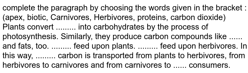 photosynthesis paragraph
