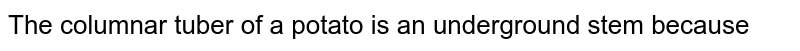 The columnar tuber of a potato is an underground stem because