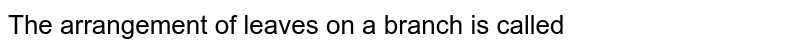 The arrangement of leaves on a branch is called