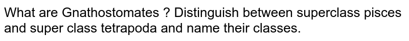 What are Gnathostomates ? Distinguish between superclass pisces and super class tetrapoda and name their classes.