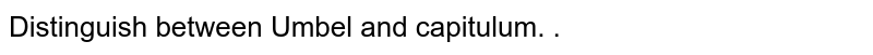 Distinguish between Umbel and capitulum. .