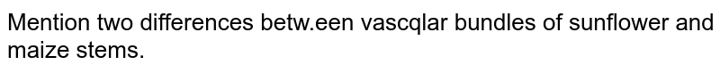 Mention two differences betw.een vascqlar bundles of sunflower and maize stems.