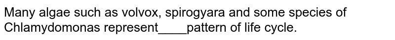 Many algae such as volvox, spirogyara and some species of Chlamydomonas represent____pattern of life cycle.