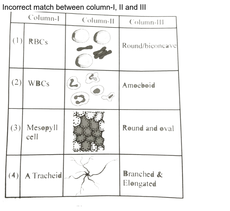 Incorrect match between column-I, II and III