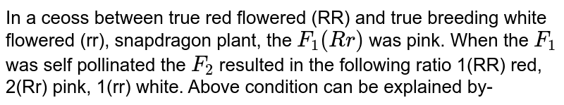 In a cross between true red flowered (RR) and true breeding white flowered (rr), snapdragon plant, the F_(1)(Rr) was pink. When the F_(1) was self pollinated the F_(2) resulted in the following ratio 1(RR) red, 2(Rr) pink, 1(rr) white. Above condition can be explained by-