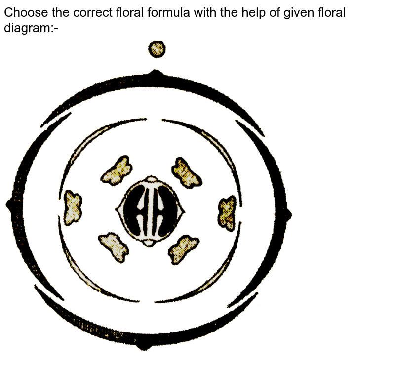 Choose the correct floral formula with the help of given floral diagram:-