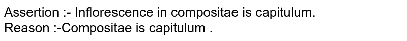 Assertion :- Inflorescence in compositae is capitulum. Reason :-Compositae is capitulum .